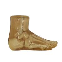 True Phantom Solutions FT-A01 ຂາຍົກສໍາລັບ X-Ray CT, US, MRI