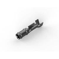 AMP Connectors - TE Connectivity 60983-2 ບາເລີ ເທີມິນລ໌ RECEPTACLES