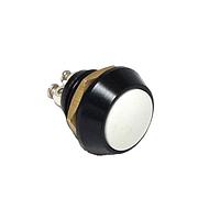 E-Switch PV5S24019G ຕ້ານການທຳລາຍ Anti-vandal, SPST, ປິດ-(ເປີດ), ຕິດຕູ້, ດ້ານໜ້າ, ແດງ, IP65