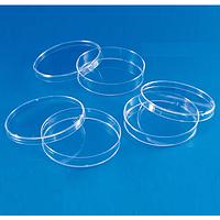 ອາຫານຈານ