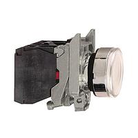 SCHNEIDER XB4BW3165 ປຸ່ມກົດປົດກັບ Flush PUSHBUTTON INCNDSNT 250V 22MM XB4