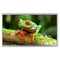 Newhaven Display NHD-10.1-1024600BF-ASXP ຈໍ IPS TFT LCD 10.1 ນິ້ວ IPS TFT