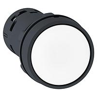 SCHNEIDER XB7NA11 Flush PB - ສົ່ງກັບສົ່ງກັບສີຂາວ - 1NO