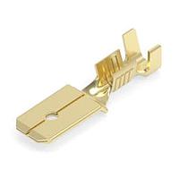 AMP Connectors - TE Connectivity 60006-1 ຕາບ .250 SERIES FASTON TAB