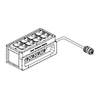 Molex 1301380115 ສາຍປະຕູຈອດພະລັງງານ 3410L ກະບັດ ມີຄວາມຍາວ 3FT #12-3SOOW ສີດຳ & 1447