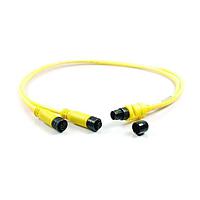 Amphenol SINE Systems P29332 ເສັ້ນສາຍອ່ານຄ່າ / ເສັ້ນສາຍກະທົບ