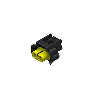 Aptiv F094300 ປຸ່ມໂປຣແກມ 2WF PGJ-19 LAMP CONN W/CPA