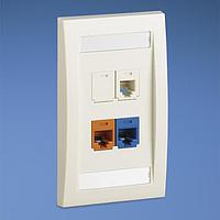 Panduit CFKE4F5U5J3FMF ປຸ່ມຕໍ່ຕ່າງປະເພດ / ປຸ່ມຕໍ່ຕ່າງ Ethernet ແຜ່ນປະຕູ 4 ພອດ Exec 2 Cat5e 1