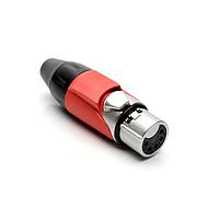 Amphenol Audio AX5F2M-AU ຕູກສ໌ 5P SOCKET F PLUG GLD W RED MRK SLEEVE