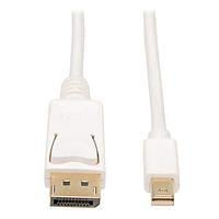 Tripp Lite P583-010 ສາຍຕໍ່ອາເດັດເຕີ 10FT MINI DP TO DP CBL