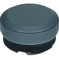 RAFI 5.05.200.025/0000 ຝາສະຫນອງສະຫນັບສະຫນູນ / ຝາປຸ່ມສະຫນັບສະຫນູນ blind plug hoch rund