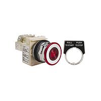 SCHNEIDER 9001KR9P1RH13 ປຸດ-ດຶງ PSH BTTN 600VAC 10A 30MM, ປະເພດ K