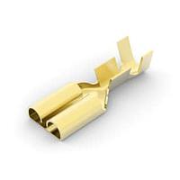 AMP Connectors - TE Connectivity 170032-2 ຮອບຮອງ .250 RECP FASTON ມົນ 6000