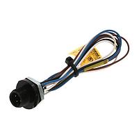 Molex 1200700385 ເສັ້ນສາຍອາເຊນເຊີ / ເສັ້ນສາຍອັກຕູເວີ MIC 4P MR 12IN #22 PVC 1/4 NPT