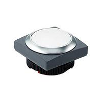 RAFI 1.30.270.201/2208 ສະຫນຸກການສະຫນອງ Switch Actuators RAFIX PshBtn Illum White / Weiss