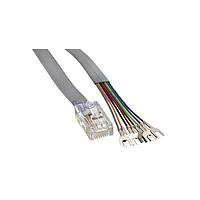 Amphenol Cables on Demand MP-5FRJ45SLPS-002 ເຄື່ອງສາຍ Ethernet / ເຄື່ອງສາຍເຄືອກ Flat Cable (8X8) RJ45 ມີ Spade Lugs, 2ft