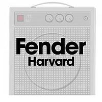 Hammond Manufacturing 290HAX ຕົວແປກຳລັງແຟນເດີ Harvard, 120V @ 60 Hz, 550Vct @ 100mA