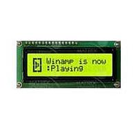 Matrix Orbital LK162-12 ມູດຈະລະພາບຕົວອັກສອນ LCD ພື້ນຫຼັງເຫຼືອງ/ຂຽວ ຕົວອັກສອນສີດຳ