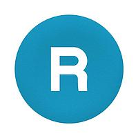 SCHNEIDER ZBA639 ຝາປຸ່ມ PSH BTTN CAP FLUSH ສີຟ້າ ມາກ R