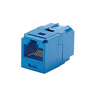 Panduit CC688BU ມູດຕໍ່ສາຍແລະທາງຜ່ານສາຍ Mini-Com Coupler Module, Cat 6, UTP, ສີຟ້າ