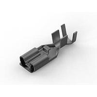 AMP Connectors - TE Connectivity 179975-1 ຮີເຊບເຕິເຄວ RCPT 15-10 STR .250 ມົນມະຫາ 4000