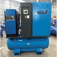 PEGASUS TMCP-20A Screw Air Compressor (380V)